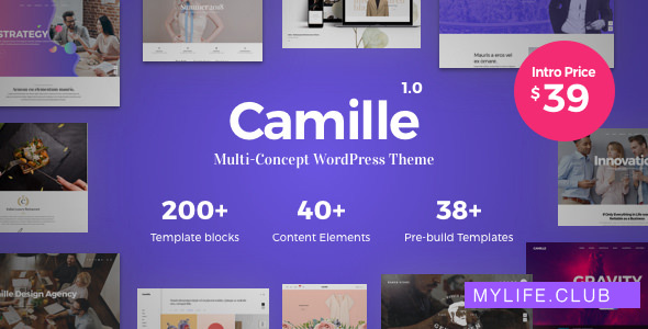 Camille v1.1.1 – Multi-Concept WordPress Theme