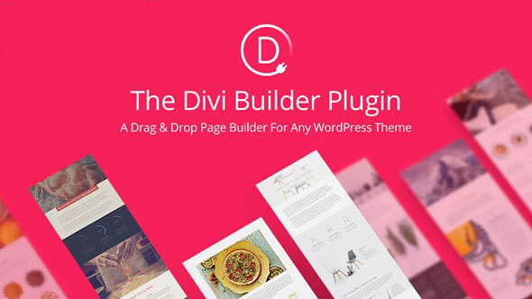 Divi Builder v4.14.6  – 拖动＆amp;删除页面构建器WP插件