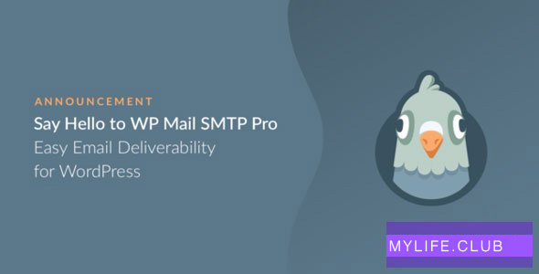 WP Mail SMTP Pro v3.2.0 【nulled】