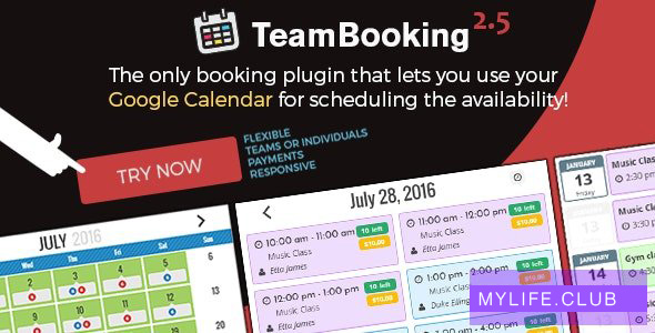 Team Booking v2.5.11 – WordPress booking system