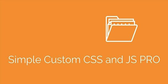Simple Custom CSS and JS PRO v4.22