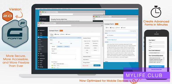 Gravity Forms v2.6.1.2 【nulled】